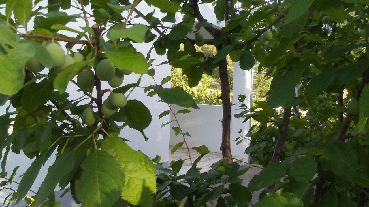 Kuca Za Odmor Maka Villa Kucice Luaran gambar