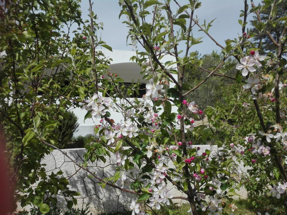 Kuca Za Odmor Maka Villa Kucice Luaran gambar