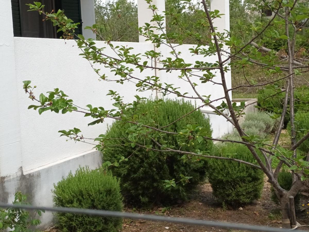 Kuca Za Odmor Maka Villa Kucice Luaran gambar